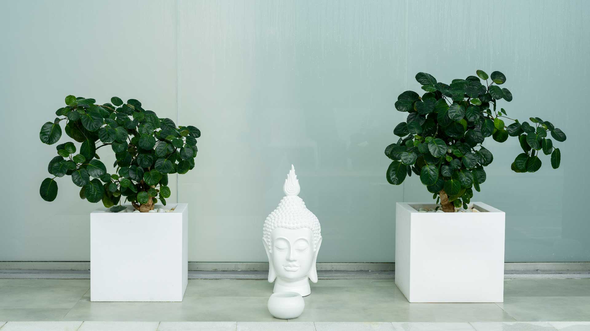 Escapada Detox Cabodegata